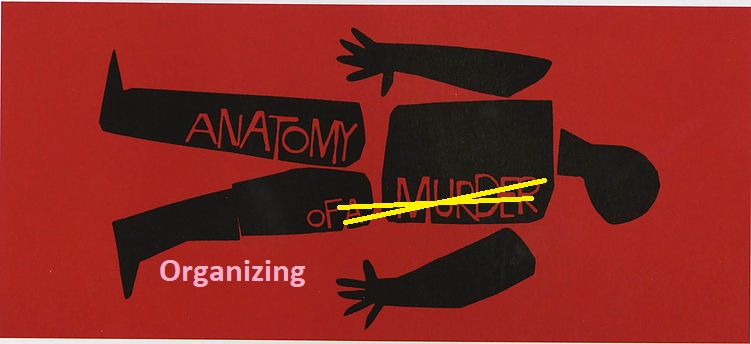 Anatomy of Organizing image